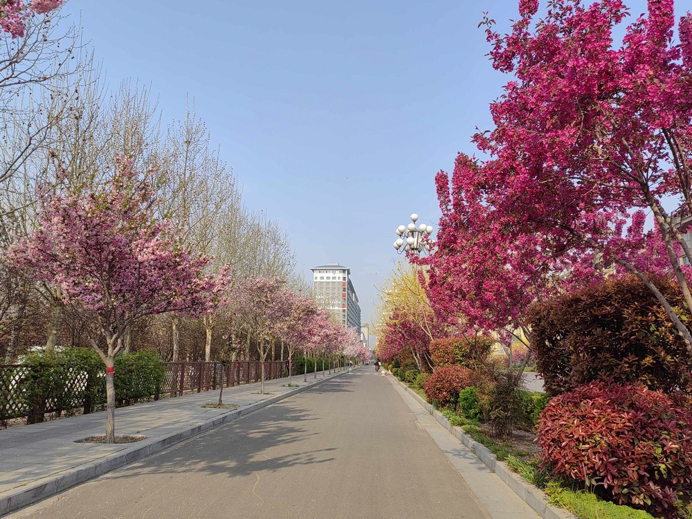 春影三重奏