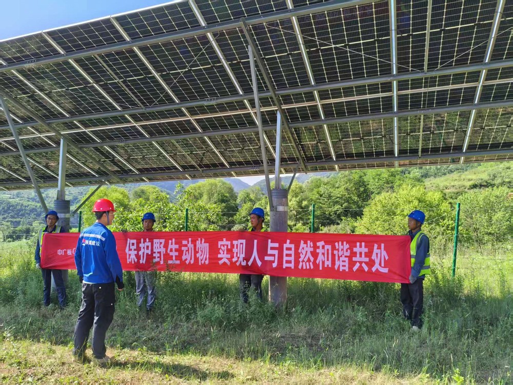 陜煤建設西北分公司機電安裝項目部：為野生動物撐起“生態保護傘”