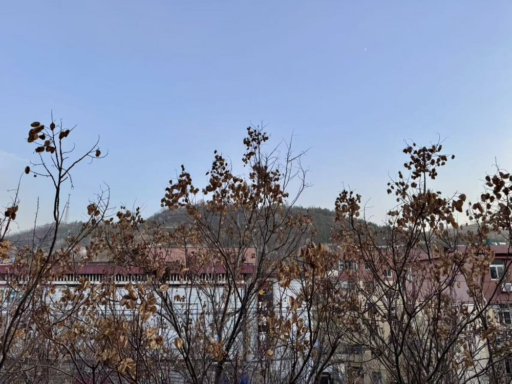 秋意漸濃時，回望來時路